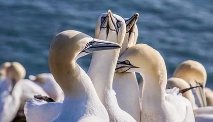 五家渠2026年最新杭州高端商务伴游招聘网渠道分享(最方便真实的五家渠茉莉伴游伴游天下全国联盟方法)