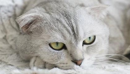 五家渠2026年最新杭州高端商务伴游招聘网渠道分享(最方便真实的五家渠茉莉伴游伴游天下全国联盟方法)