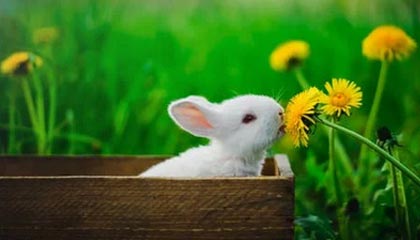 五家渠2026年最新杭州高端商务伴游招聘网渠道分享(最方便真实的五家渠茉莉伴游伴游天下全国联盟方法)